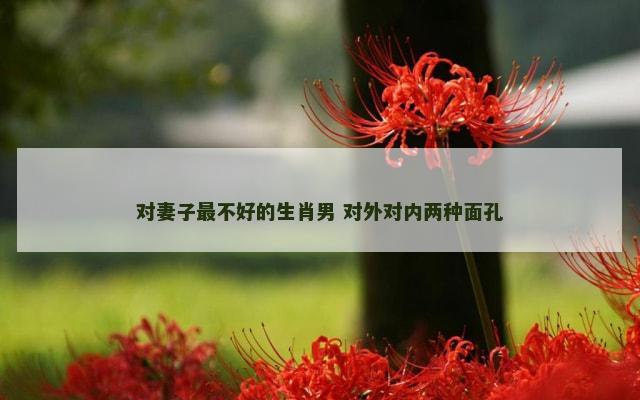 对妻子最不好的生肖男 对外对内两种面孔
