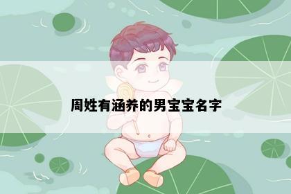周姓有涵养的男宝宝名字