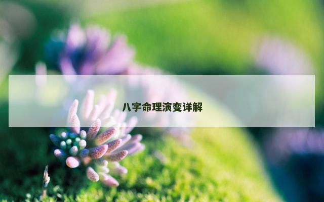八字命理演变详解