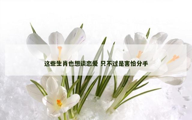 这些生肖也想谈恋爱 只不过是害怕分手