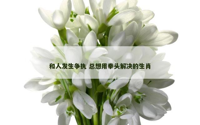 和人发生争执 总想用拳头解决的生肖