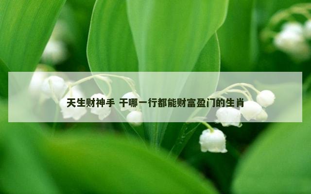 天生财神手 干哪一行都能财富盈门的生肖