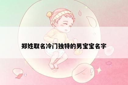 郑姓取名冷门独特的男宝宝名字