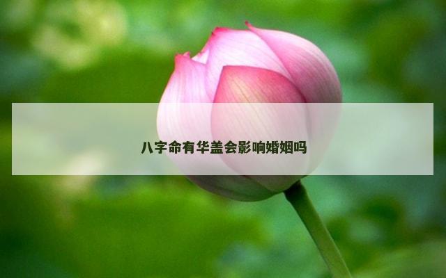 八字命有华盖会影响婚姻吗