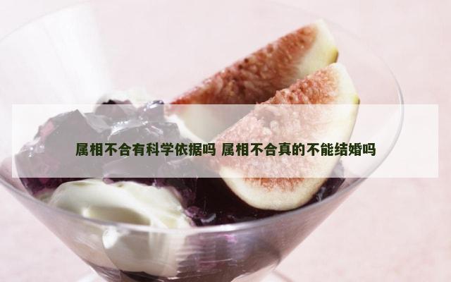 属相不合有科学依据吗 属相不合真的不能结婚吗