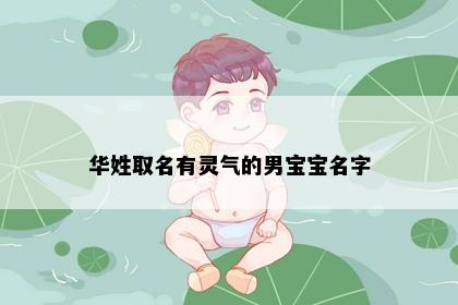 华姓取名有灵气的男宝宝名字