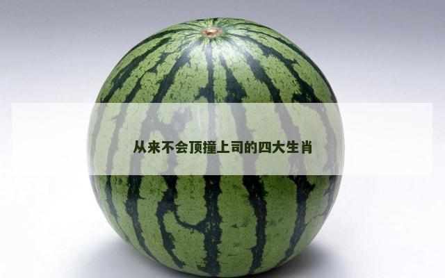 从来不会顶撞上司的四大生肖