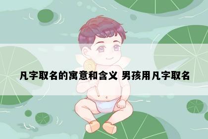 凡字取名的寓意和含义 男孩用凡字取名