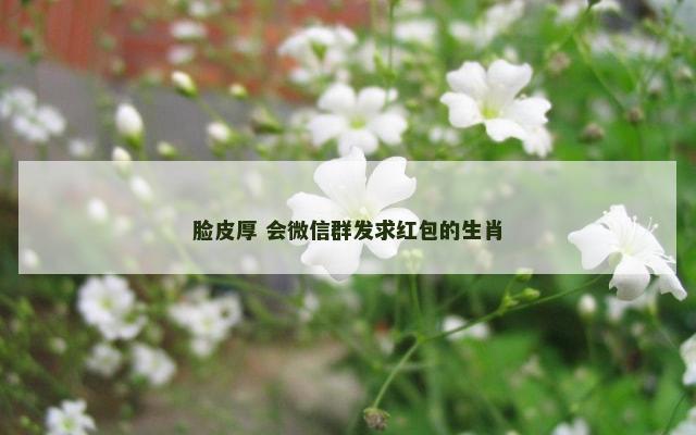 脸皮厚 会微信群发求红包的生肖
