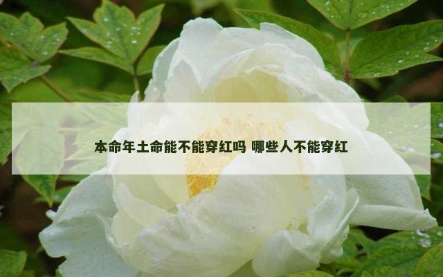 本命年土命能不能穿红吗 哪些人不能穿红