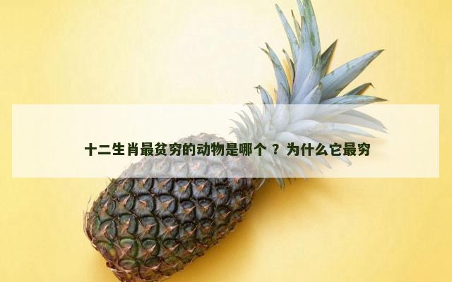 十二生肖最贫穷的动物是哪个 ？为什么它最穷