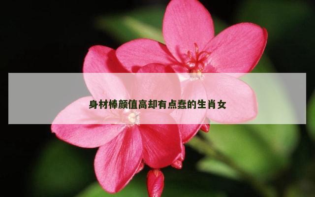 身材棒颜值高却有点蠢的生肖女