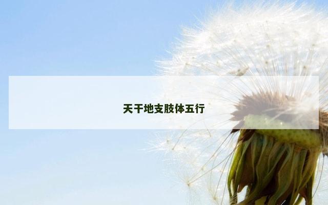 天干地支肢体五行