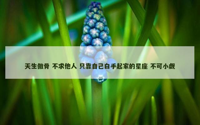 天生傲骨 不求他人 只靠自己白手起家的星座 不可小觑