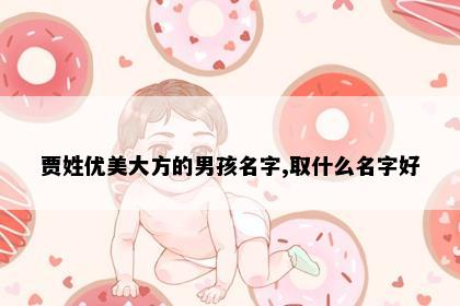 贾姓优美大方的男孩名字,取什么名字好