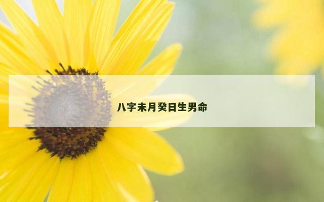 八字未月癸日生男命