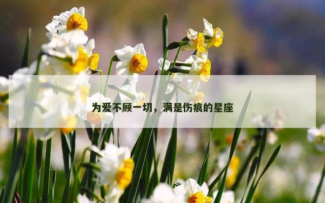 为爱不顾一切，满是伤痕的星座