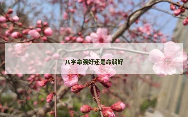 八字命强好还是命弱好