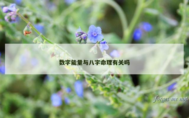 数字能量与八字命理有关吗