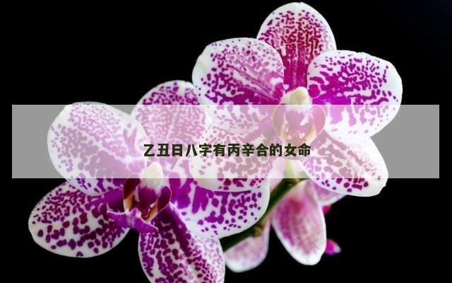 乙丑日八字有丙辛合的女命