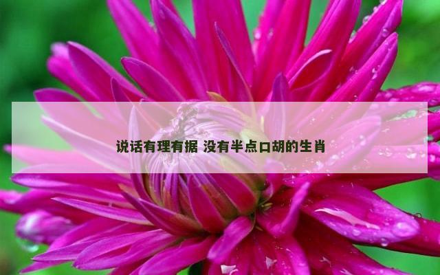 说话有理有据 没有半点口胡的生肖
