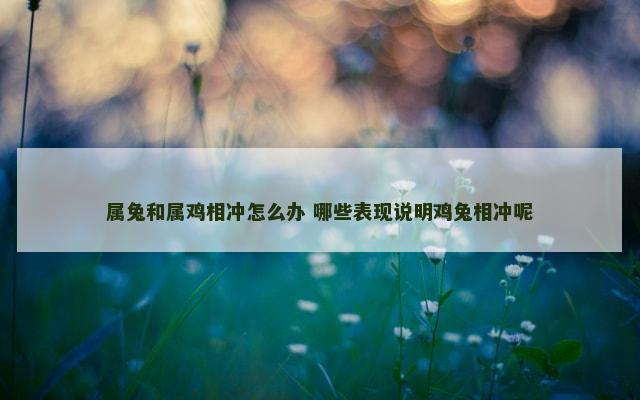 属兔和属鸡相冲怎么办 哪些表现说明鸡兔相冲呢