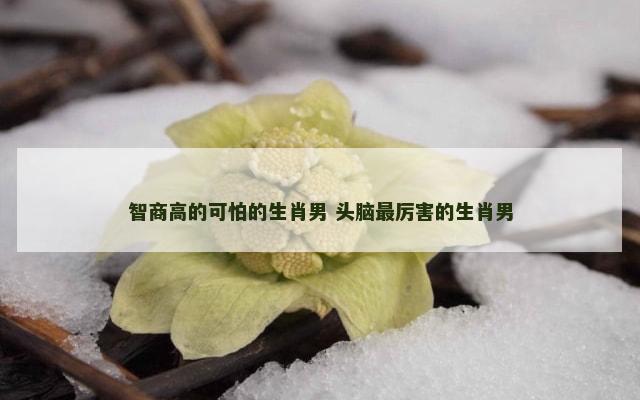 智商高的可怕的生肖男 头脑最厉害的生肖男