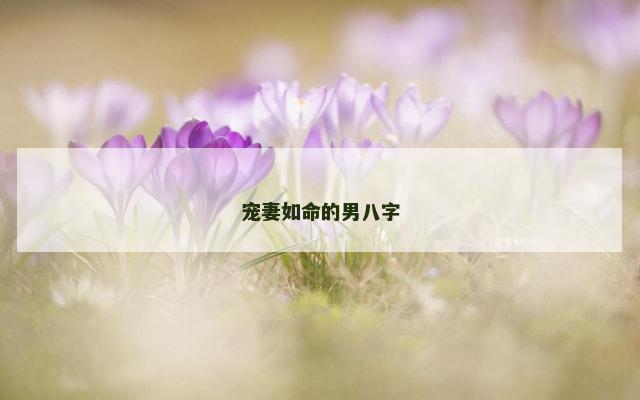 宠妻如命的男八字