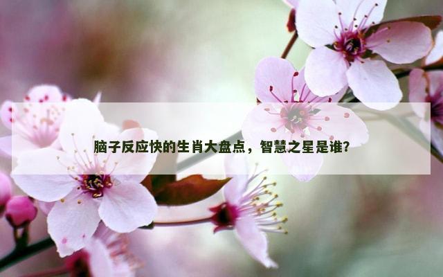 脑子反应快的生肖大盘点，智慧之星是谁？