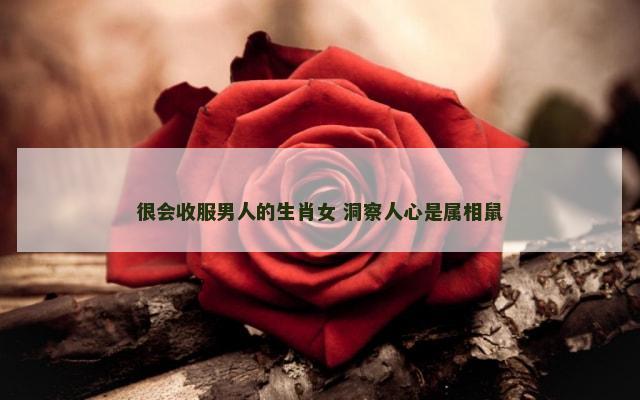 很会收服男人的生肖女 洞察人心是属相鼠