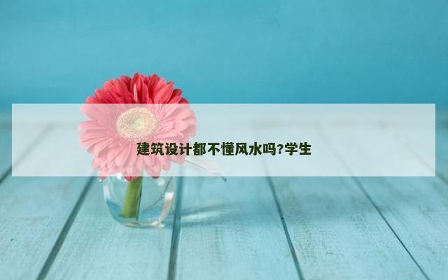 建筑设计都不懂风水吗?学生
