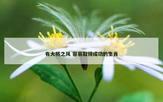 有大将之风 容易取得成功的生肖