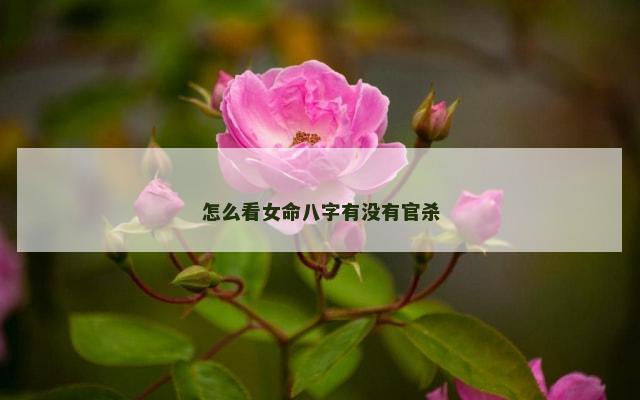 怎么看女命八字有没有官杀