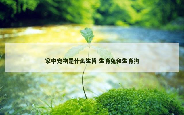 家中宠物是什么生肖 生肖兔和生肖狗