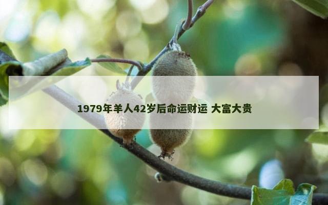 1979年羊人42岁后命运财运 大富大贵