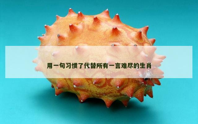 用一句习惯了代替所有一言难尽的生肖