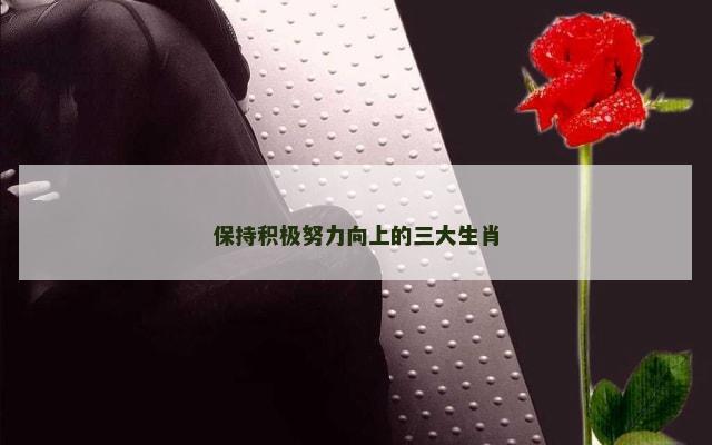 保持积极努力向上的三大生肖