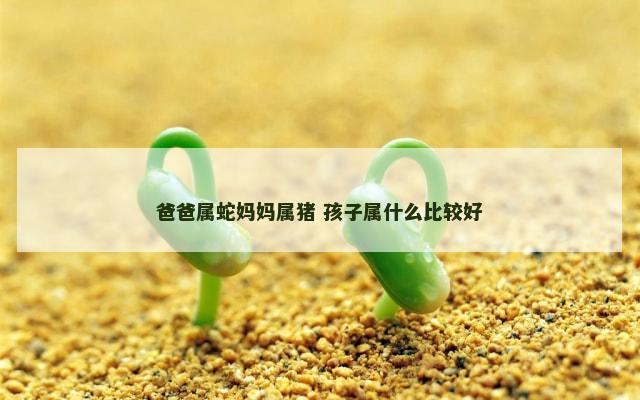 爸爸属蛇妈妈属猪 孩子属什么比较好
