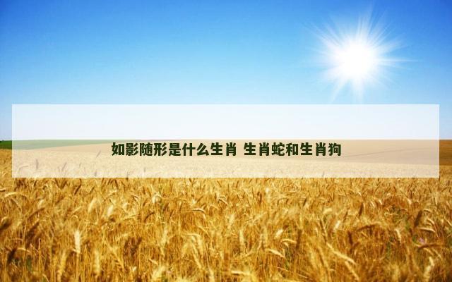 如影随形是什么生肖 生肖蛇和生肖狗