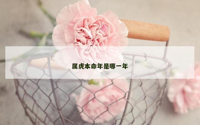 属虎本命年是哪一年
