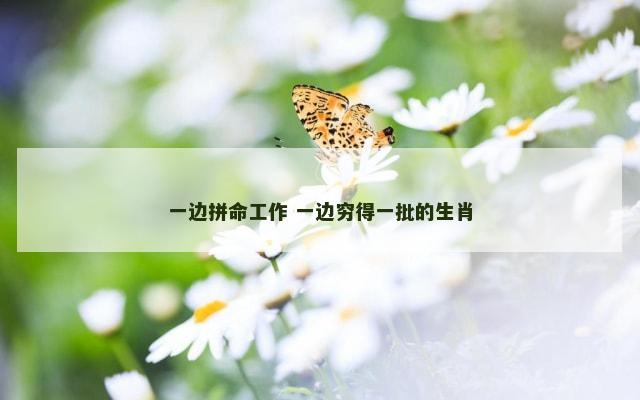 一边拼命工作 一边穷得一批的生肖