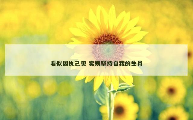 看似固执己见 实则坚持自我的生肖