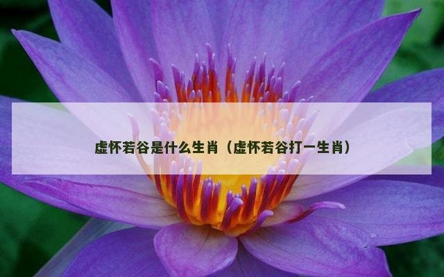虚怀若谷是什么生肖（虚怀若谷打一生肖）