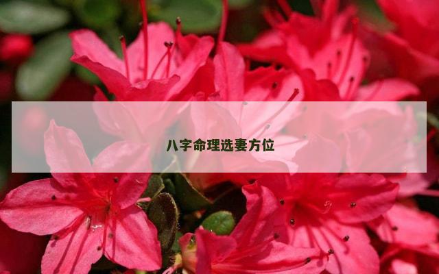 八字命理选妻方位