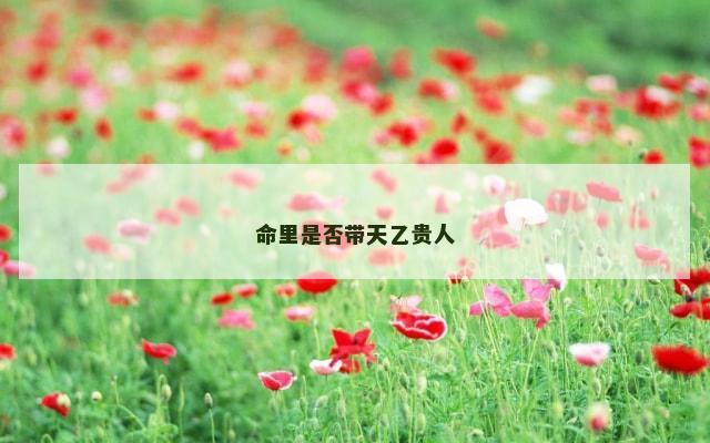 命里是否带天乙贵人