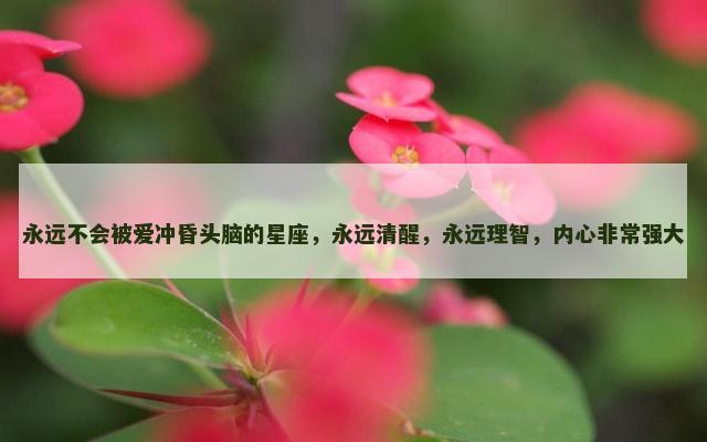 永远不会被爱冲昏头脑的星座，永远清醒，永远理智，内心非常强大