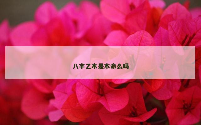 八字乙木是木命么吗