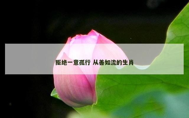 拒绝一意孤行 从善如流的生肖