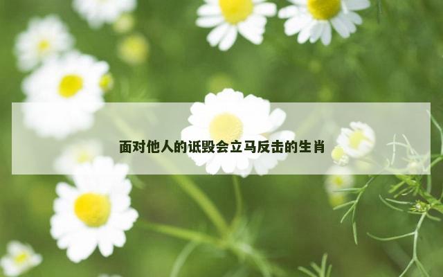 面对他人的诋毁会立马反击的生肖