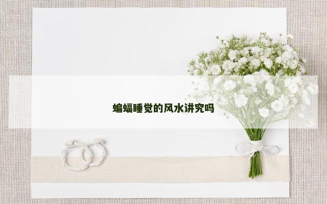 蝙蝠睡觉的风水讲究吗